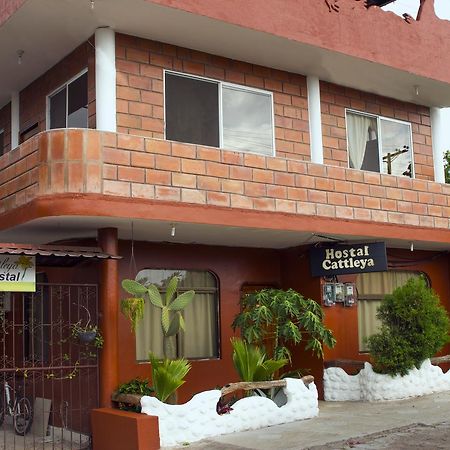 פוארטו בקריסו מורנו Hostal Cattleya מראה חיצוני תמונה