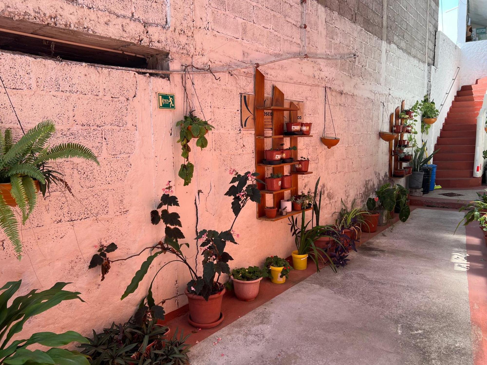 פוארטו בקריסו מורנו Hostal Cattleya מראה חיצוני תמונה