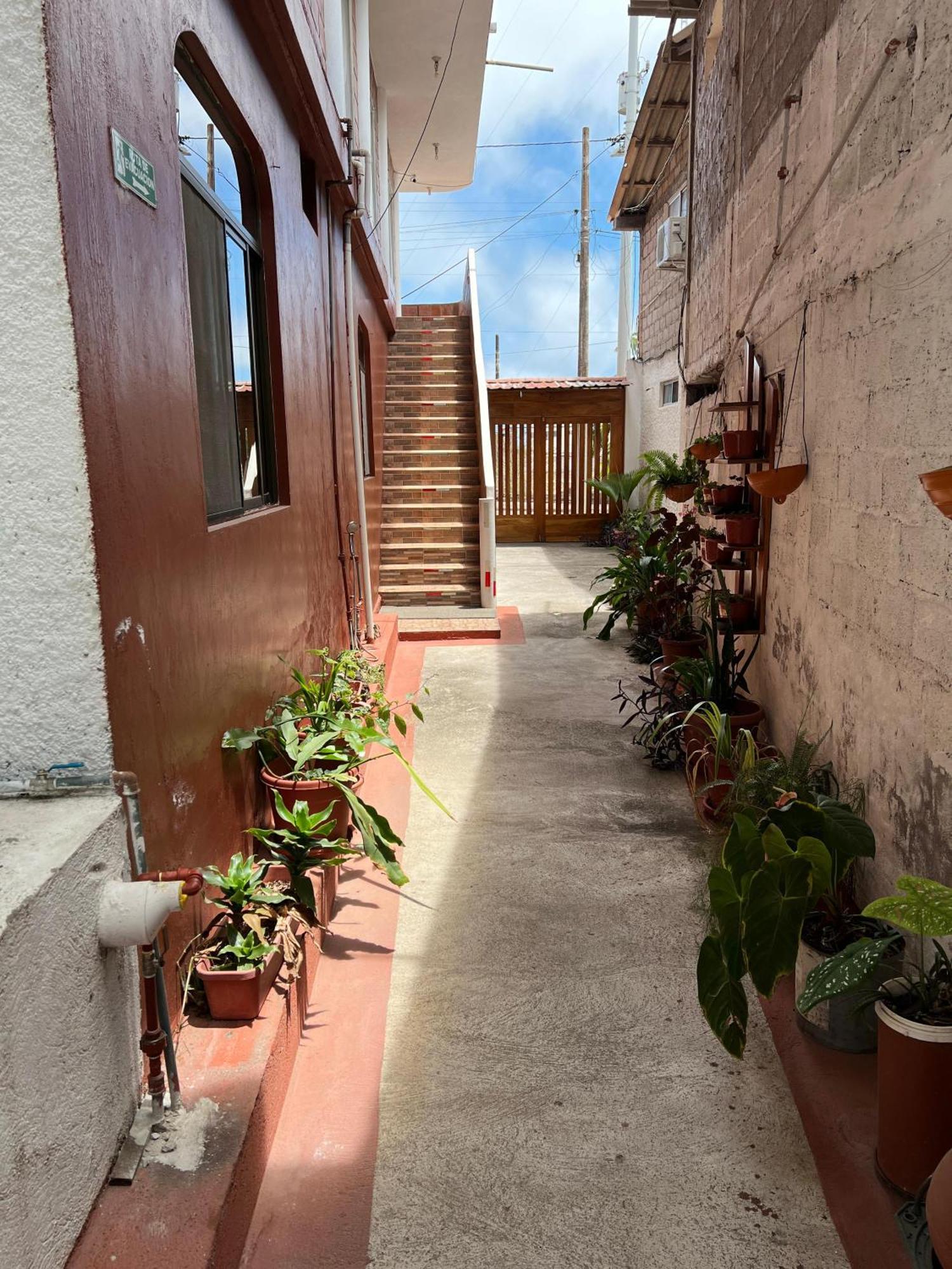 פוארטו בקריסו מורנו Hostal Cattleya מראה חיצוני תמונה