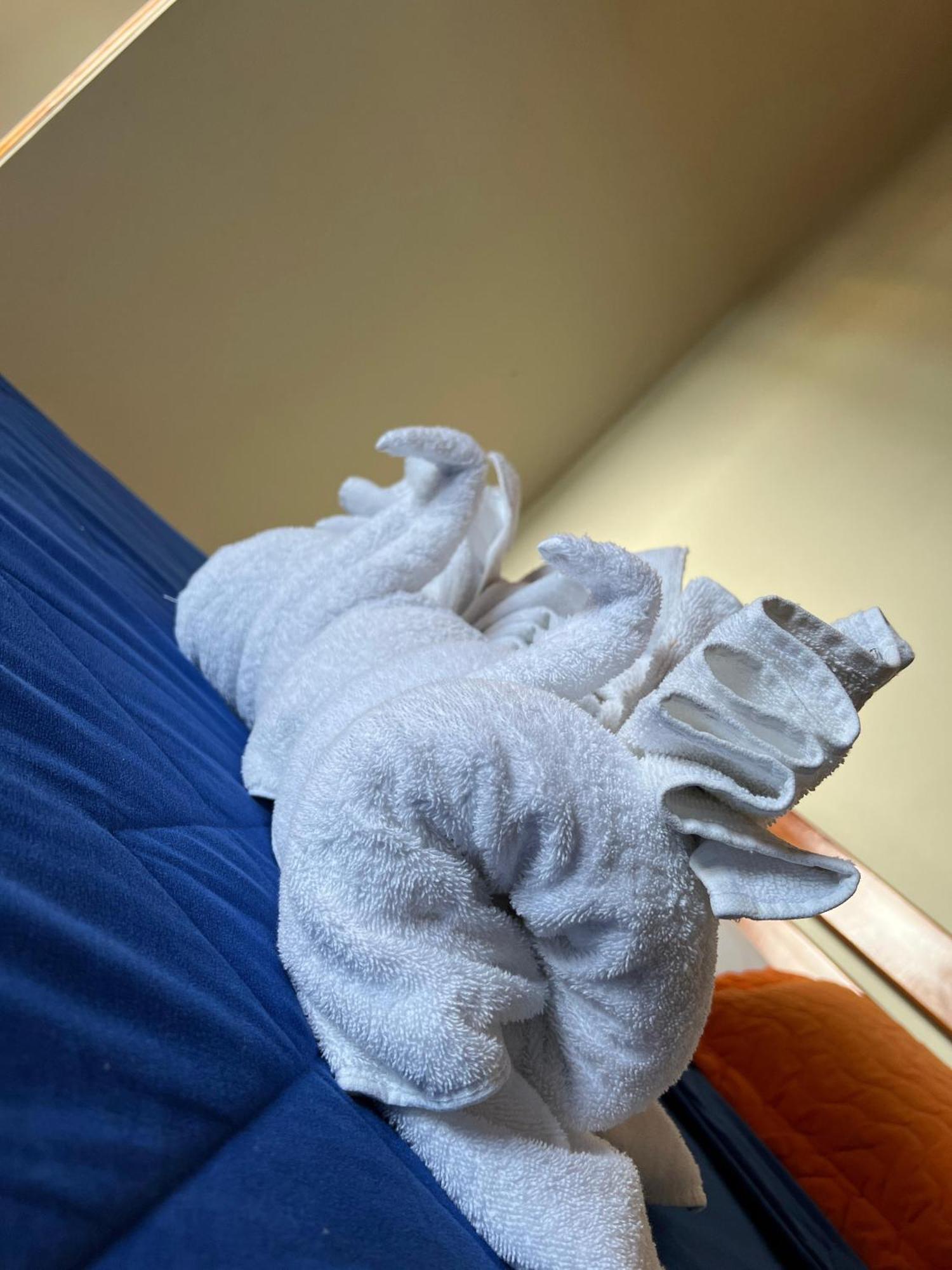 פוארטו בקריסו מורנו Hostal Cattleya מראה חיצוני תמונה