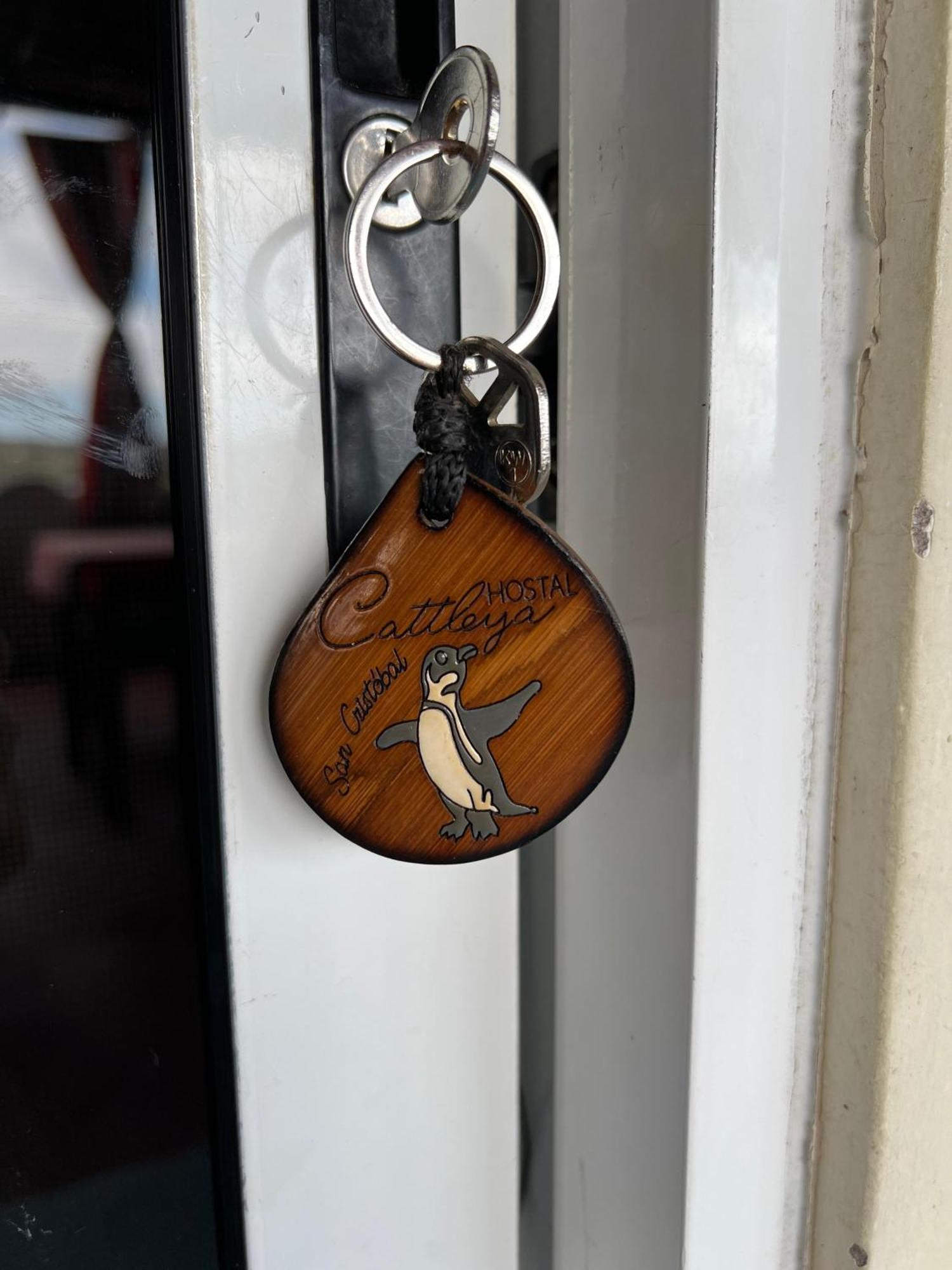 פוארטו בקריסו מורנו Hostal Cattleya חדר תמונה