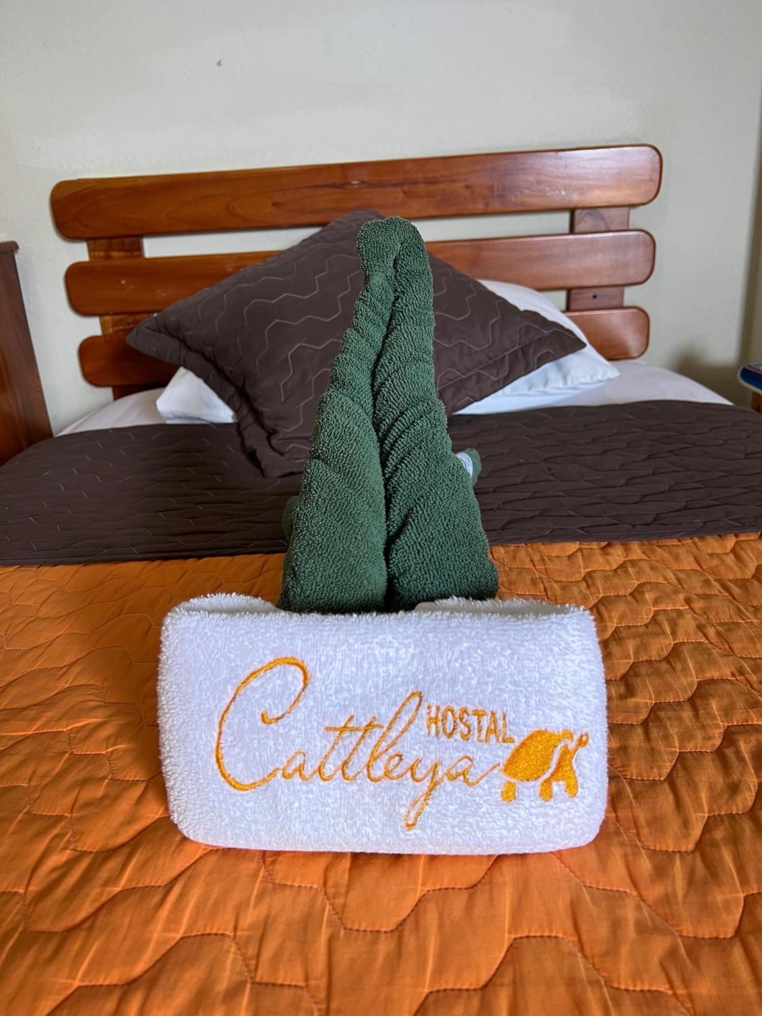 פוארטו בקריסו מורנו Hostal Cattleya מראה חיצוני תמונה